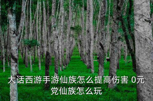 大话西游手游仙族怎么提高伤害 0元党仙族怎么玩