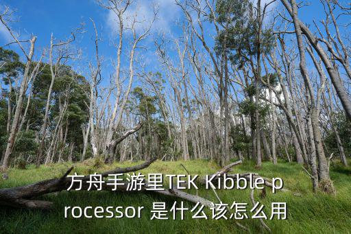 方舟手游里TEK Kibble processor 是什么该怎么用