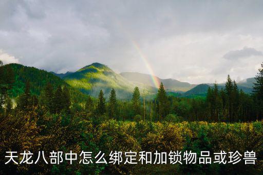 天龙八部手游物品怎么绑定，手机怎么绑定天龙八部