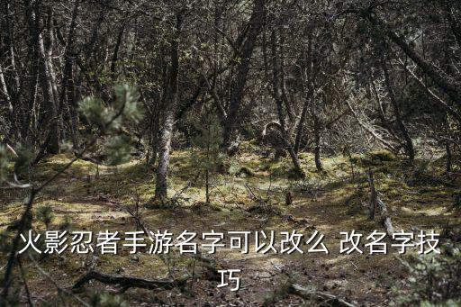 火影手游id怎么做，小朋友齐打交24火影版仙鸣ID怎么弄