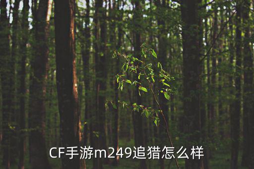 cf手游m200心动次元怎么样，cf手游 这个怎么样