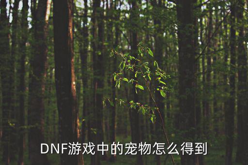 DNF游戏中的宠物怎么得到