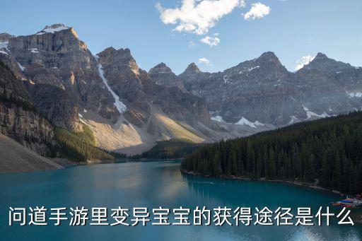 问道手游里变异宝宝的获得途径是什么