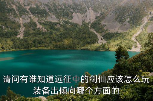 请问有谁知道远征中的剑仙应该怎么玩装备出倾向哪个方面的