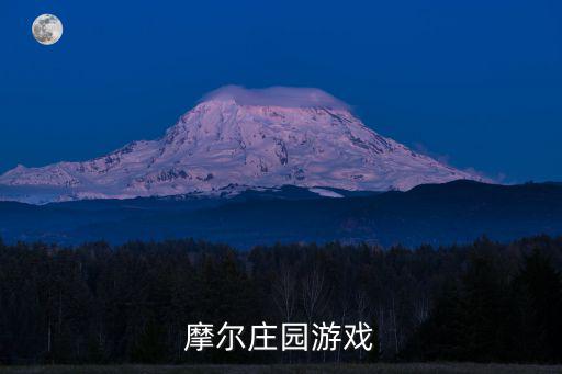 摩尔庄园游戏