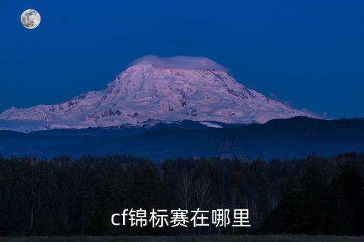 cf锦标赛在哪里