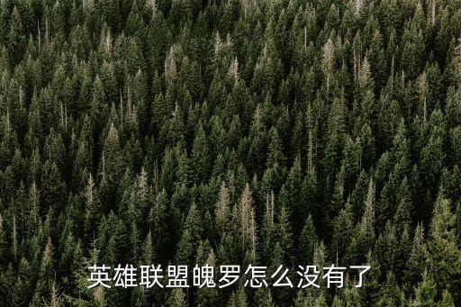 联盟手游魄罗能量槽怎么少了，英雄联盟魄罗怎么没有了