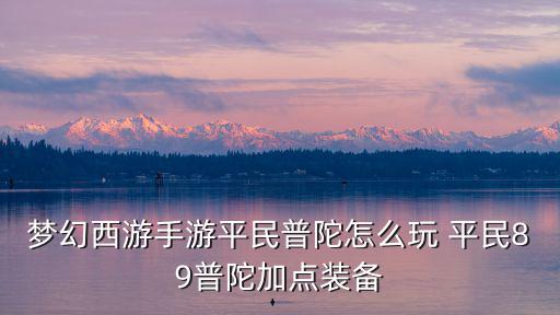 梦幻西游手游平民普陀怎么玩 平民89普陀加点装备
