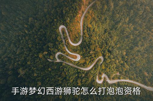 手游梦幻西游狮驼怎么打泡泡资格