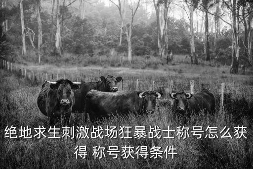 绝地求生刺激战场狂暴战士称号怎么获得 称号获得条件