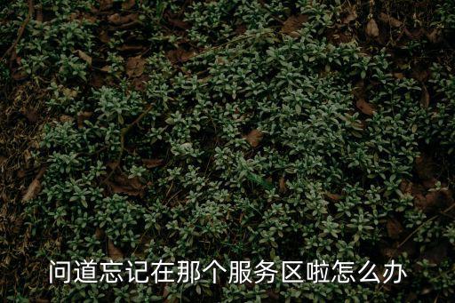 手游问道忘记区怎么办，问道如果忘记自己的游戏角色在哪个区该怎么办