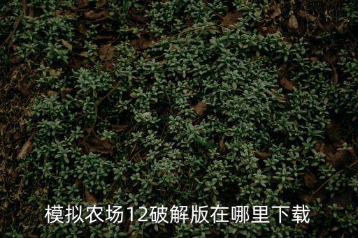 模拟农场12破解版在哪里下载