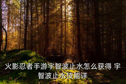 火影忍者手游宇智波止水怎么获得 宇智波止水技能详