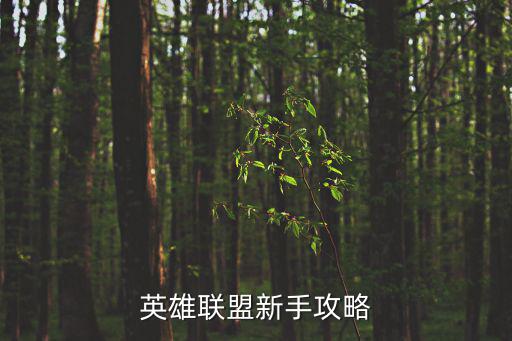 英雄联盟新手攻略
