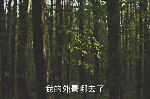 我的外景哪去了