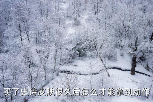 lol手游史诗级姿态怎么获得，如何获的史诗装