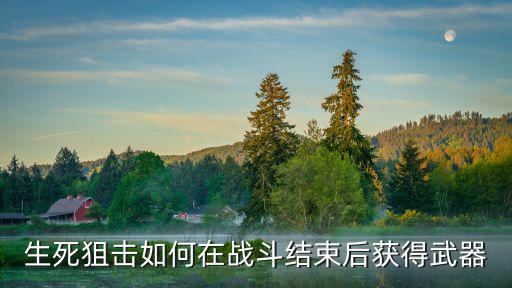 手游生死狙击怎么获得天降陨石，生死狙击如何在战斗结束后获得武器