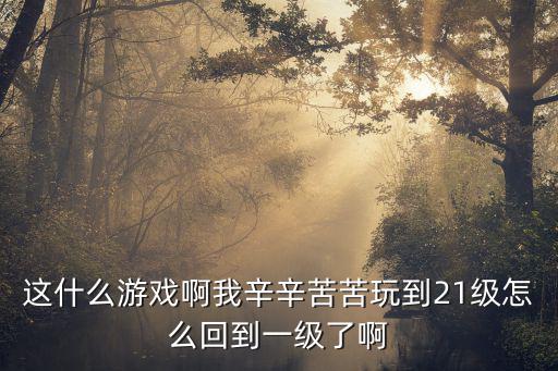 这什么游戏啊我辛辛苦苦玩到21级怎么回到一级了啊