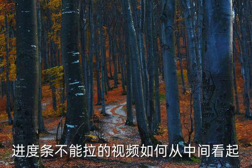 lol手游看回放怎么拉进度条，进度条不能拉的视频如何从中间看起