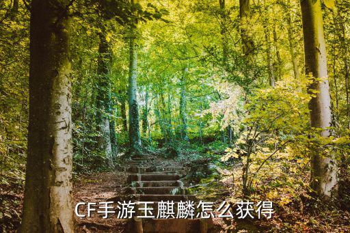 CF手游玉麒麟怎么获得