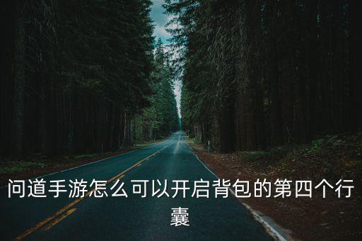 问道手游怎么可以开启背包的第四个行囊