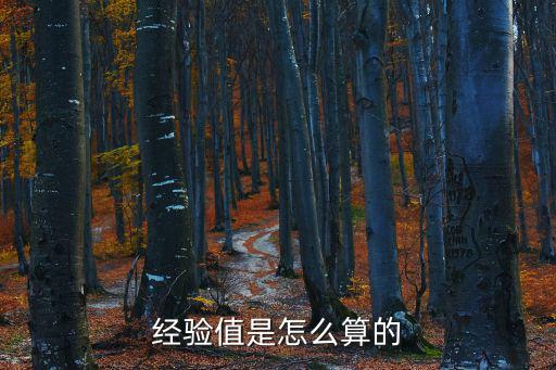 经验值是怎么算的