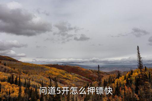 问道5开怎么押镖快