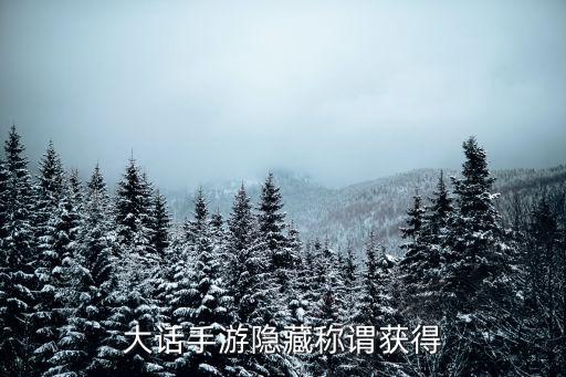 大话手游隐藏称谓获得