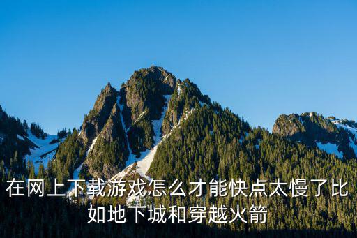 在网上下载游戏怎么才能快点太慢了比如地下城和穿越火箭