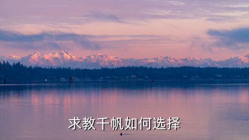 求教千帆如何选择