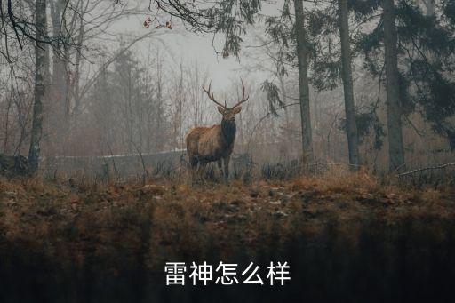 战争雷霆手游版雷神怎么样，战争雷霆游戏评价怎样