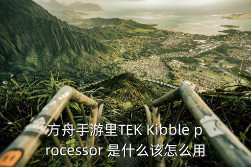 方舟手游里TEK Kibble processor 是什么该怎么用