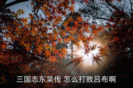 手游三国志大战吕布怎么打，三国怎么打吕布
