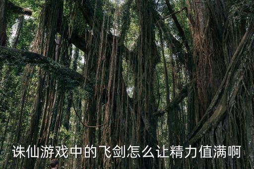 诛仙手游精力值怎么使用，诛仙 飞剑怎么用精力看那里