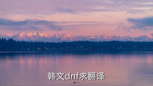 韩文dnf求翻译