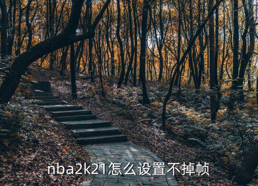 nba2k21手游怎么调高画质，我玩nba2kol怎么卡卡的 画面不流畅