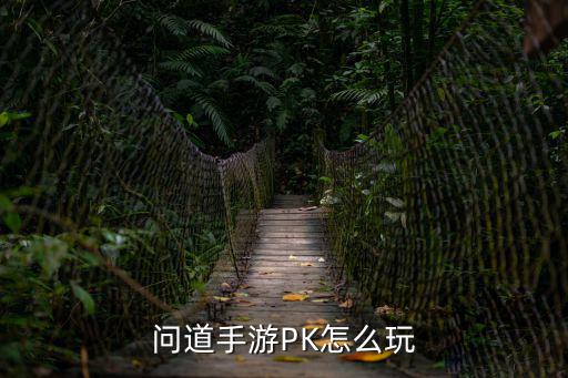 问道手游PK怎么玩