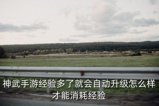 神武手游经验多了就会自动升级怎么样才能消耗经验