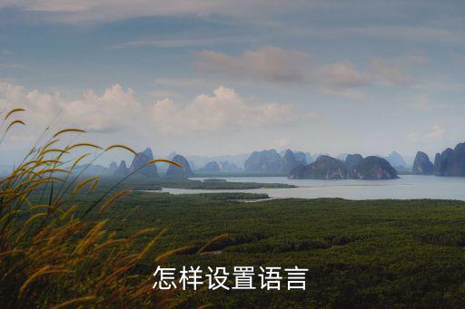 怎样设置语言
