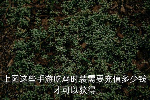 吃鸡手游风花雪月怎么抽划算，上图这些手游吃鸡时装需要充值多少钱才可以获得