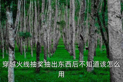 穿越火线手游抽奖抽完了怎么办，穿越火线抽奖抽出东西后不知道该怎么用