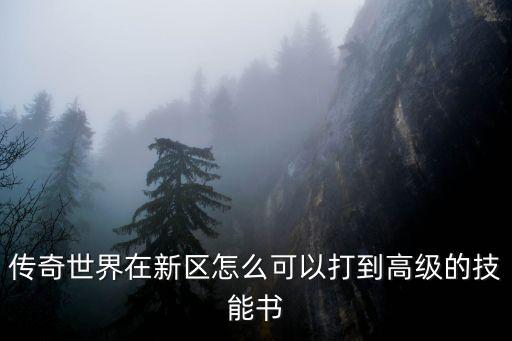 传奇世界在新区怎么可以打到高级的技能书