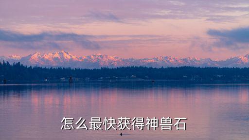 怎么最快获得神兽石