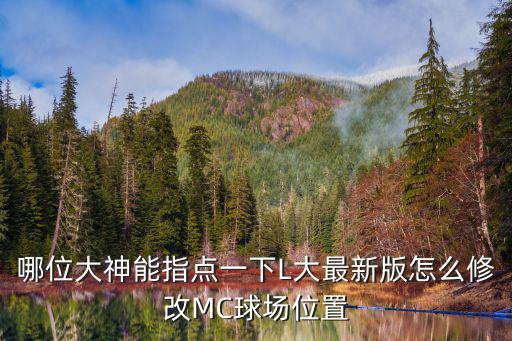 哪位大神能指点一下L大最新版怎么修改MC球场位置
