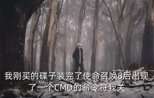 我刚买的碟子装完了使命召唤8后出现了一个CMD的命令符我关