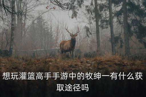 想玩灌篮高手手游中的牧绅一有什么获取途径吗