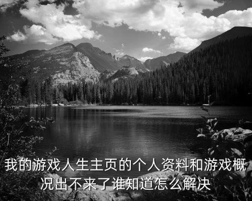 我的游戏人生主页的个人资料和游戏概况出不来了谁知道怎么解决