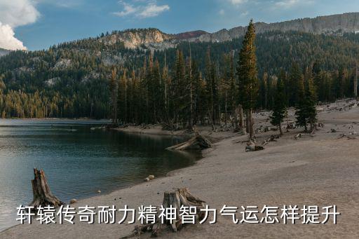 轩辕传奇手游怎么修炼，轩辕传奇心法在哪修炼