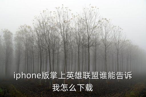 iphone版掌上英雄联盟谁能告诉我怎么下载