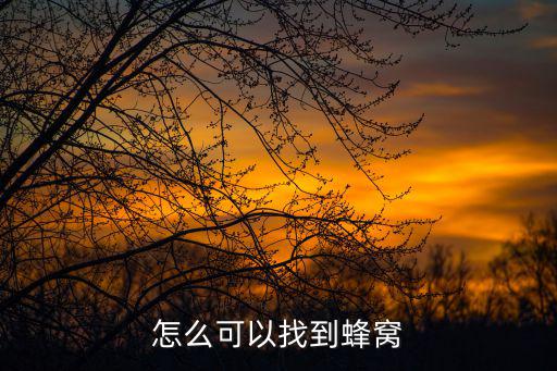 怎么可以找到蜂窝